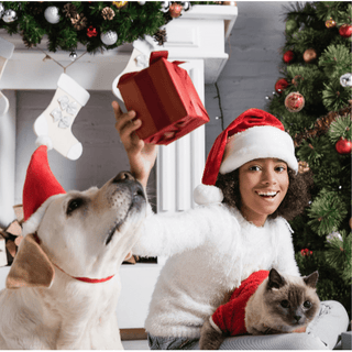 Gifts for Pets