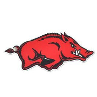 Arkansas Razorbacks