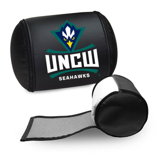 UNC Wilmington Primary Logo Panel