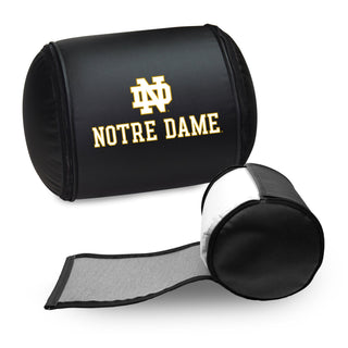 Notre Dame Alternate Logo Panel