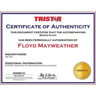 Autograph Boxing Glove: Floyd Mayweather