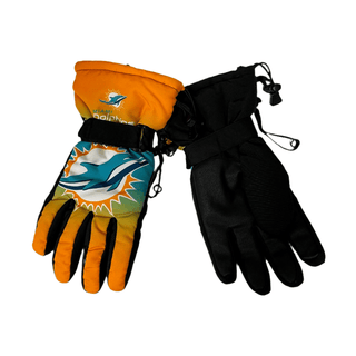 Dolphins Gloves Insulated
