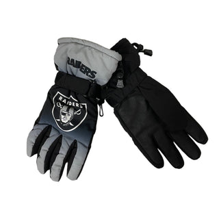 Raiders Gloves Insulated Adult SM/Med