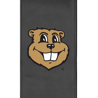 Minnesota Golden Gophers Alternate Logo Panel