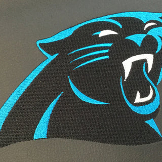 Carolina Panthers Primary Logo Panel