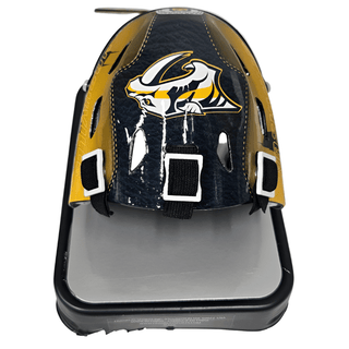 Nashville Predators Mini Goalie Mask