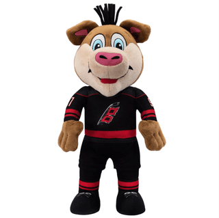 Carolina Hurricanes Stormy 10" Mascot Plush Figure black uniform