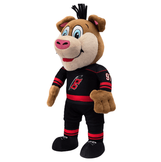 Carolina Hurricanes Stormy 10" Mascot Plush Figure black uniform