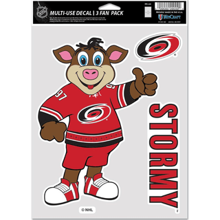 Decal: Carolina Hurricanes - Stormy 3 pc