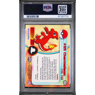 Pokémon TCG Charmeleon #5 Pokemon T.V. PSA 9