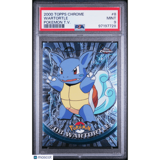 Pokémon TCG Wartortle #8 Pokemon T.V. PSA 9