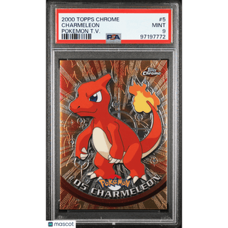 Pokémon TCG Charmeleon #5 Pokemon T.V. PSA 9