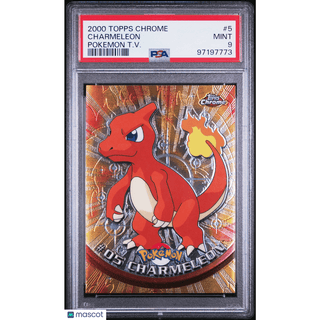 Pokémon TCG Charmeleon #5 Pokemon T.V. PSA 9