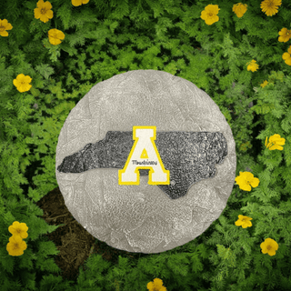 Stepping Stone: App State Mountaineers